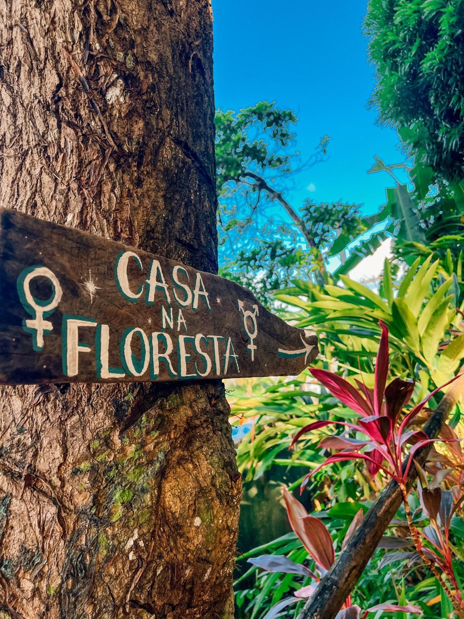 Hostel Zen - Casa Na Floresta Itacaré Extérieur photo