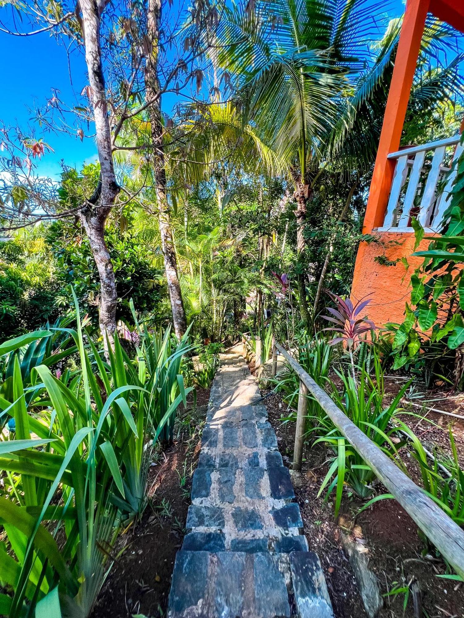 Hostel Zen - Casa Na Floresta Itacaré Extérieur photo